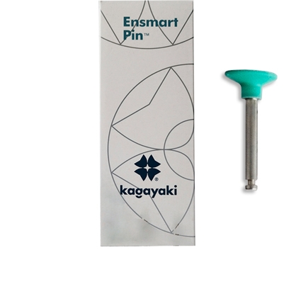 Полиры силиконовые Ensmart Pin Диск (зел. сред.), 10шт. на метал.ножке, (ENP 70-2S), Kagayaki